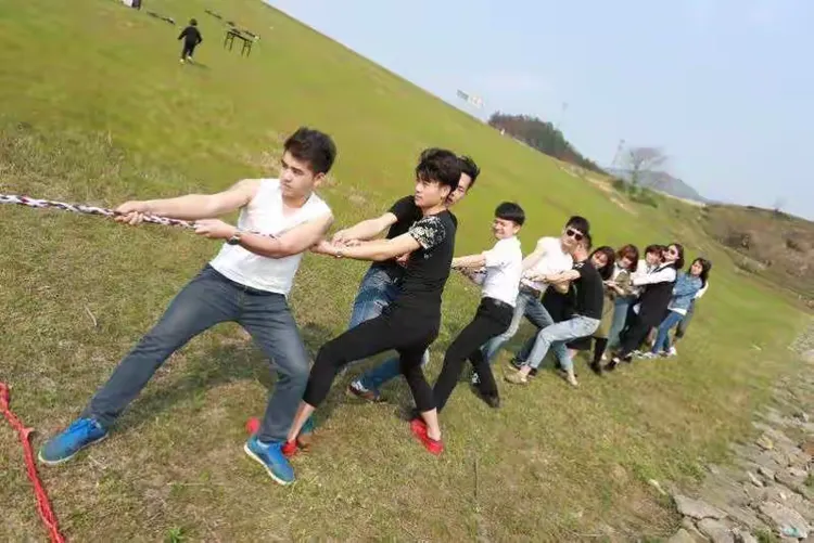 关于球队海外球迷团队士气高涨，为球队加油打气的信息