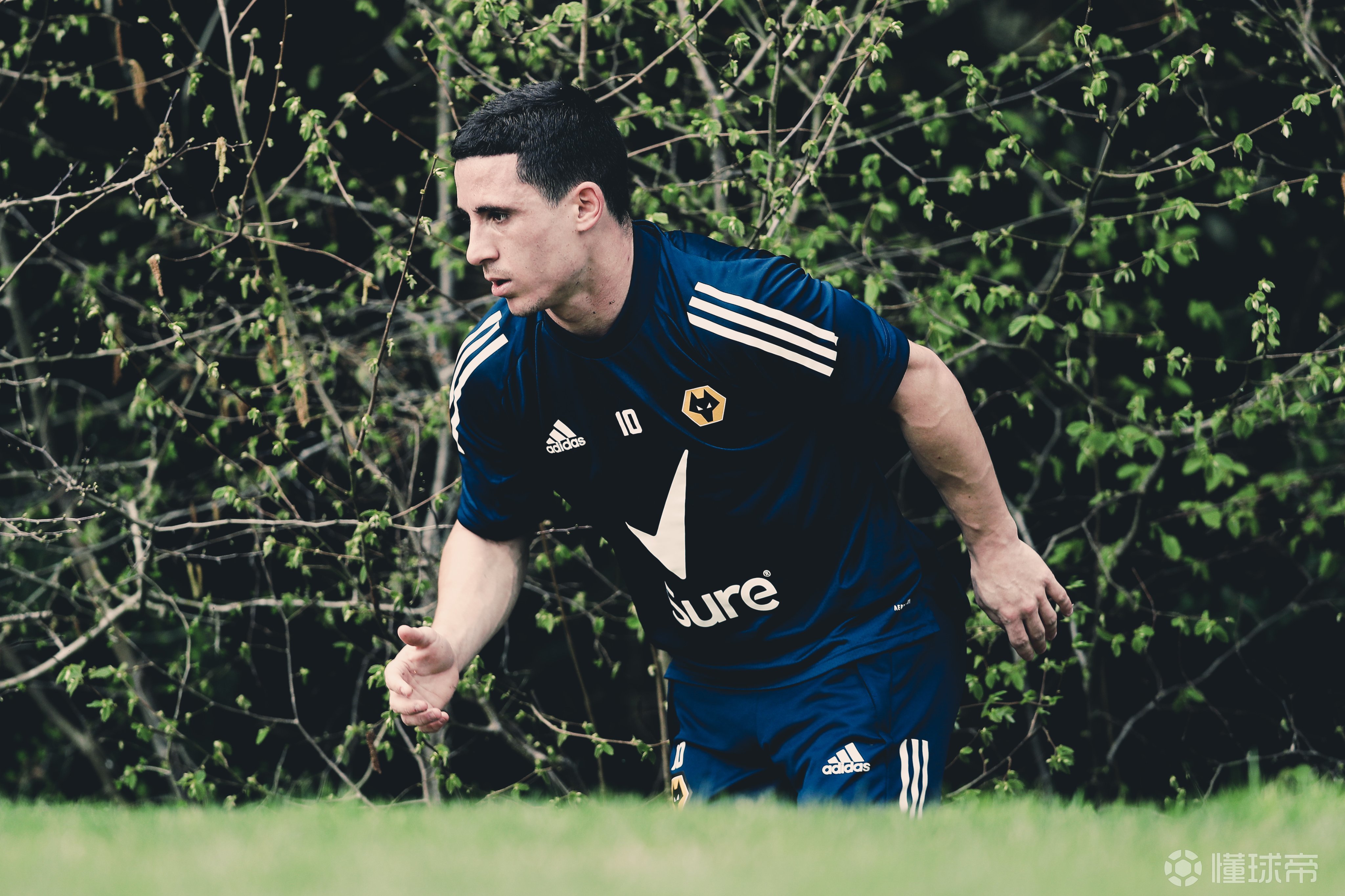 关于尤文图斯球员伤愈复出，士气大振的信息